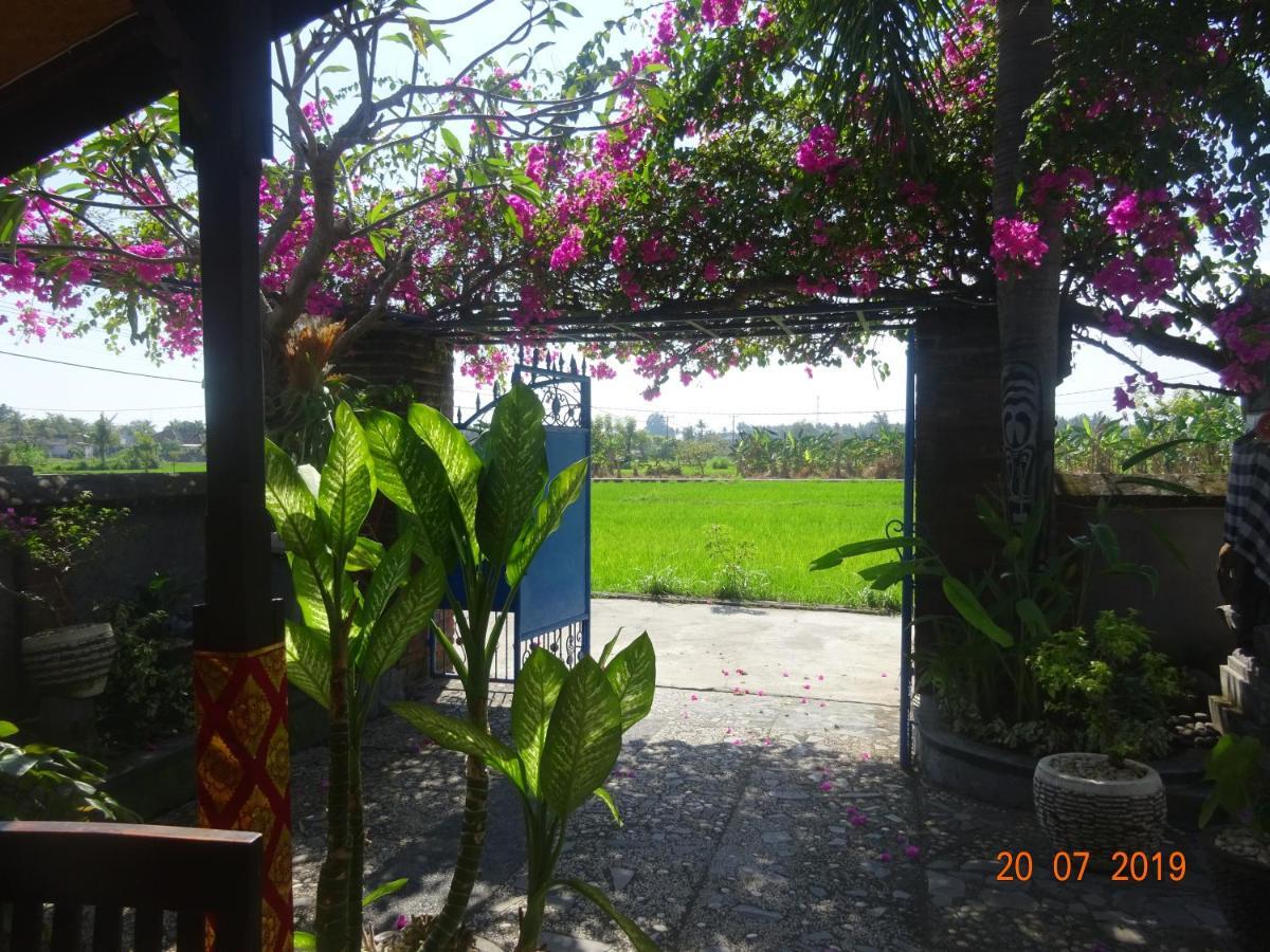 Lovina Villa Murni מראה חיצוני תמונה